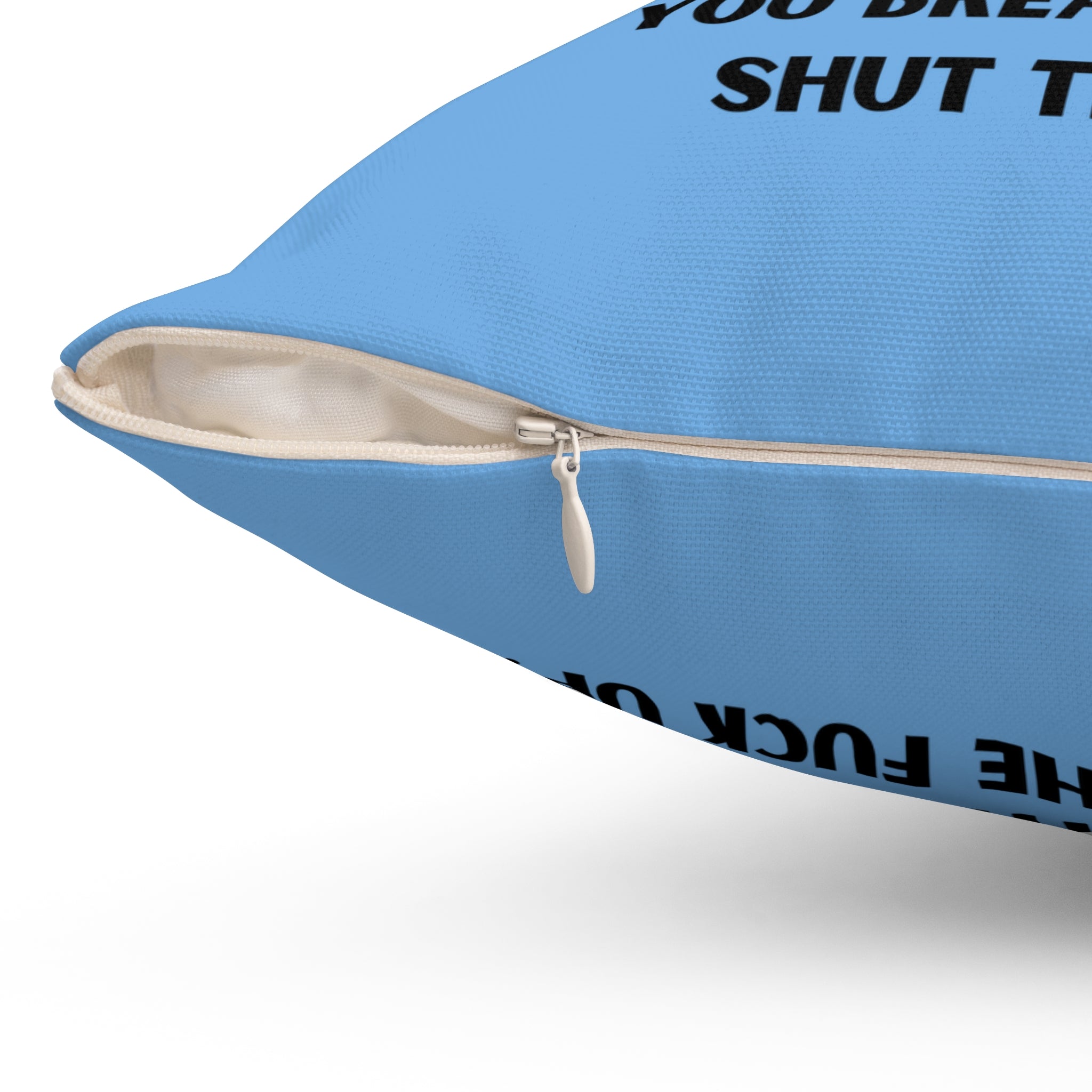 Sassy Retro Pillow for Home Decor