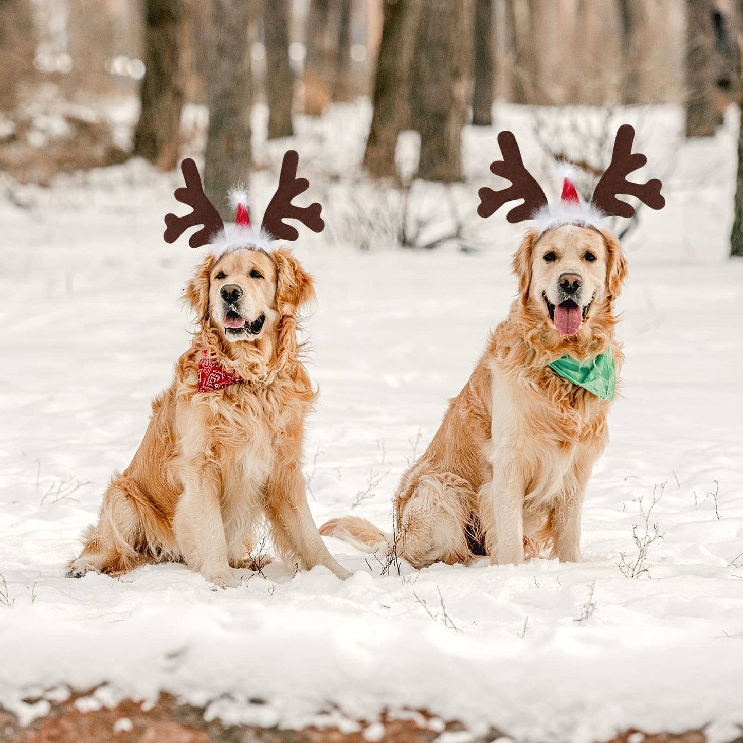 Dog Elk Reindeer Antler Headband with Santa Hat