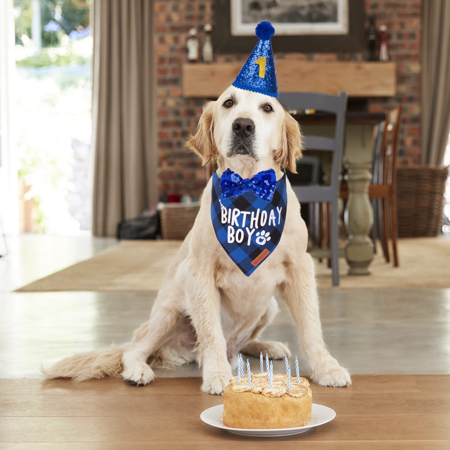 Dog Birthday Party Supplies