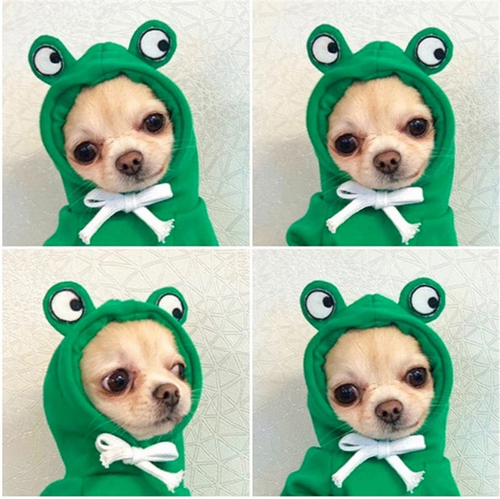 Warm Dog Winter Clothes Cute Fruit Dog Coat Hoodies