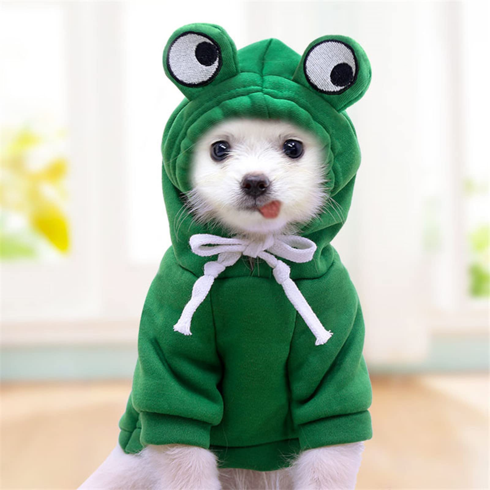 Warm Dog Winter Clothes Cute Fruit Dog Coat Hoodies
