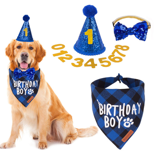 Dog Birthday Party Supplies