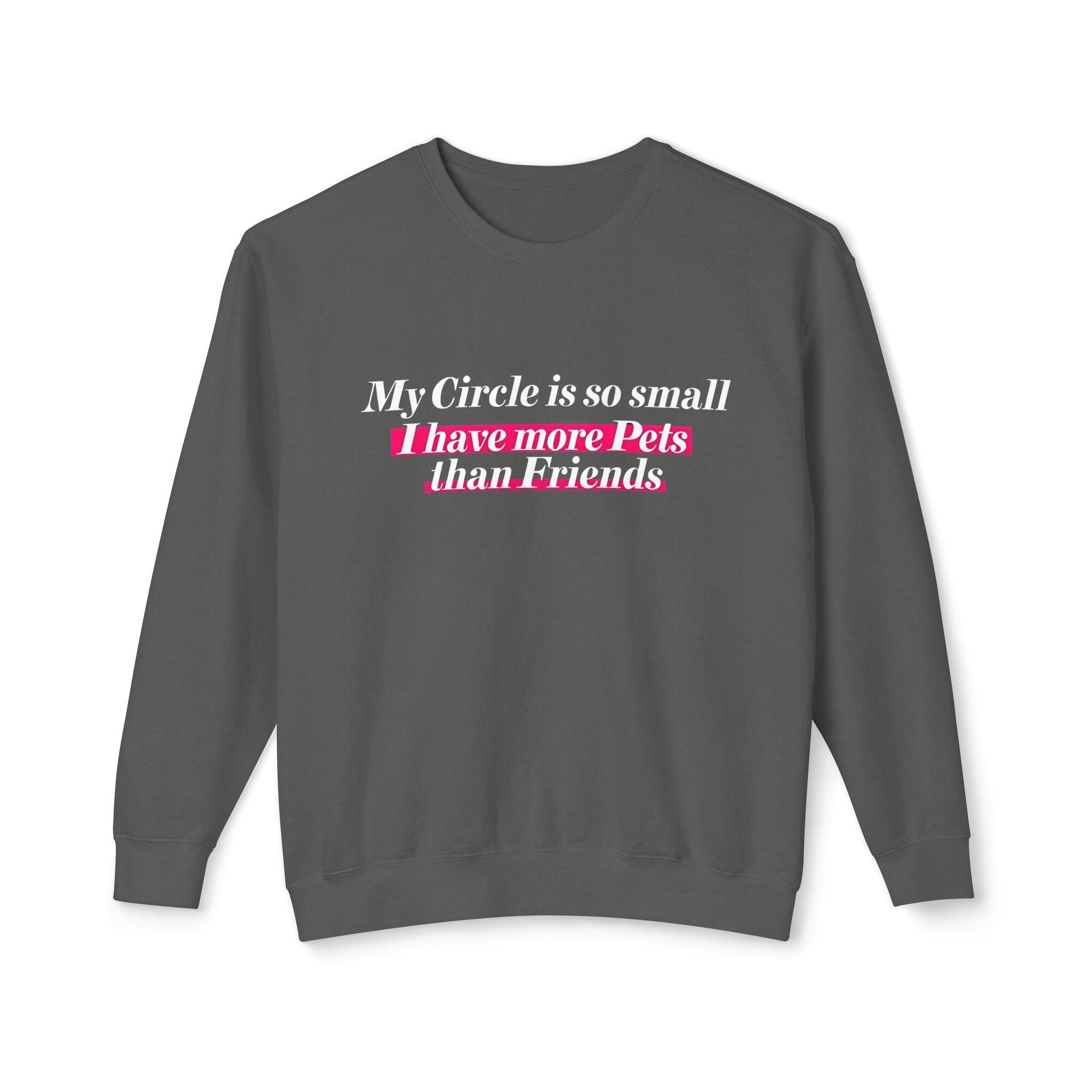 Cozy Up with Humor: 'My Circle is So Small I Have More Pets Than Friends' Sweater!