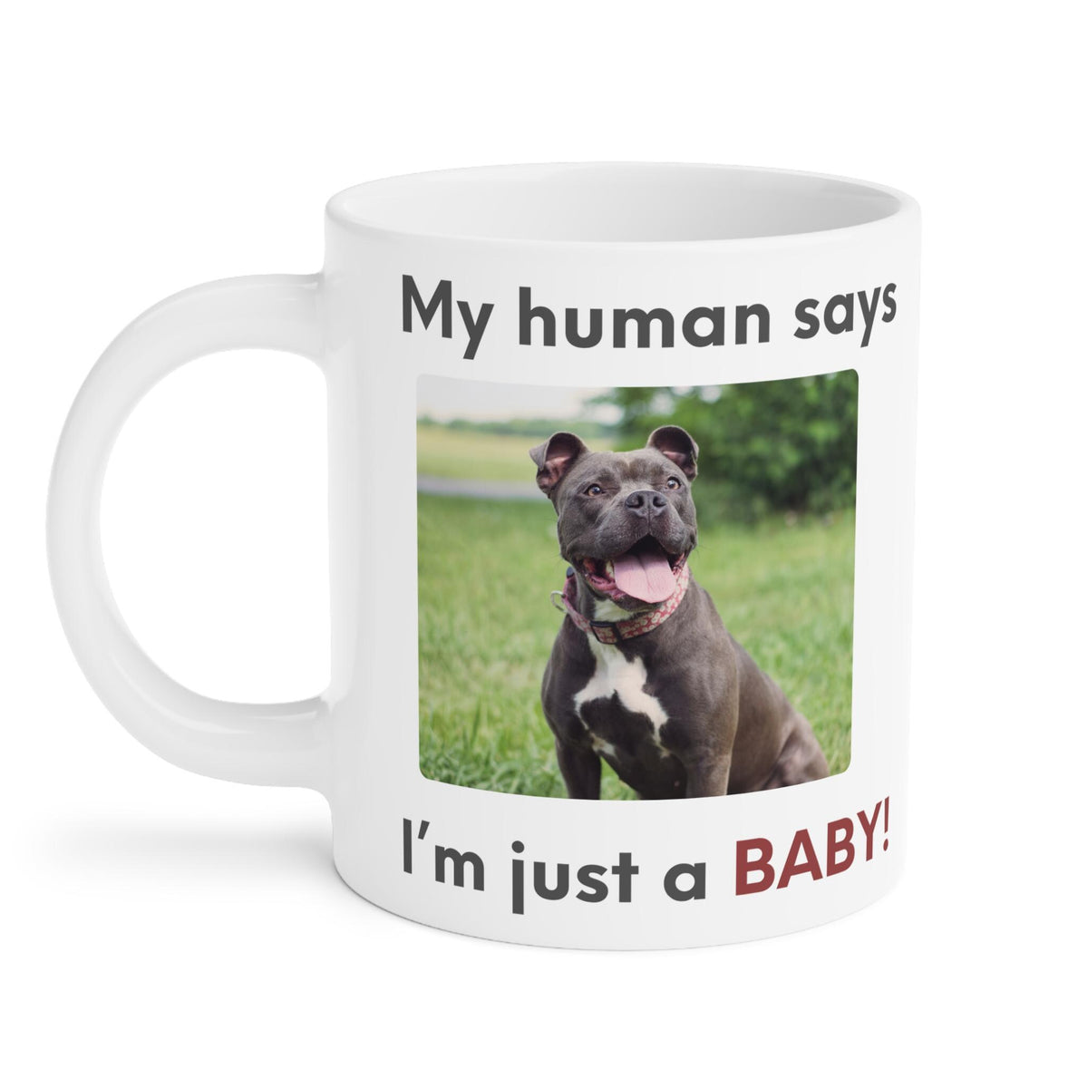 My human says Im just a BABY! Mug | Cute Pit Bull Photo Coffee Cup | Funny Dog Dad Coffee Mug | Pet Parent Gift | Ceramic Mug 11oz 15oz 20oz