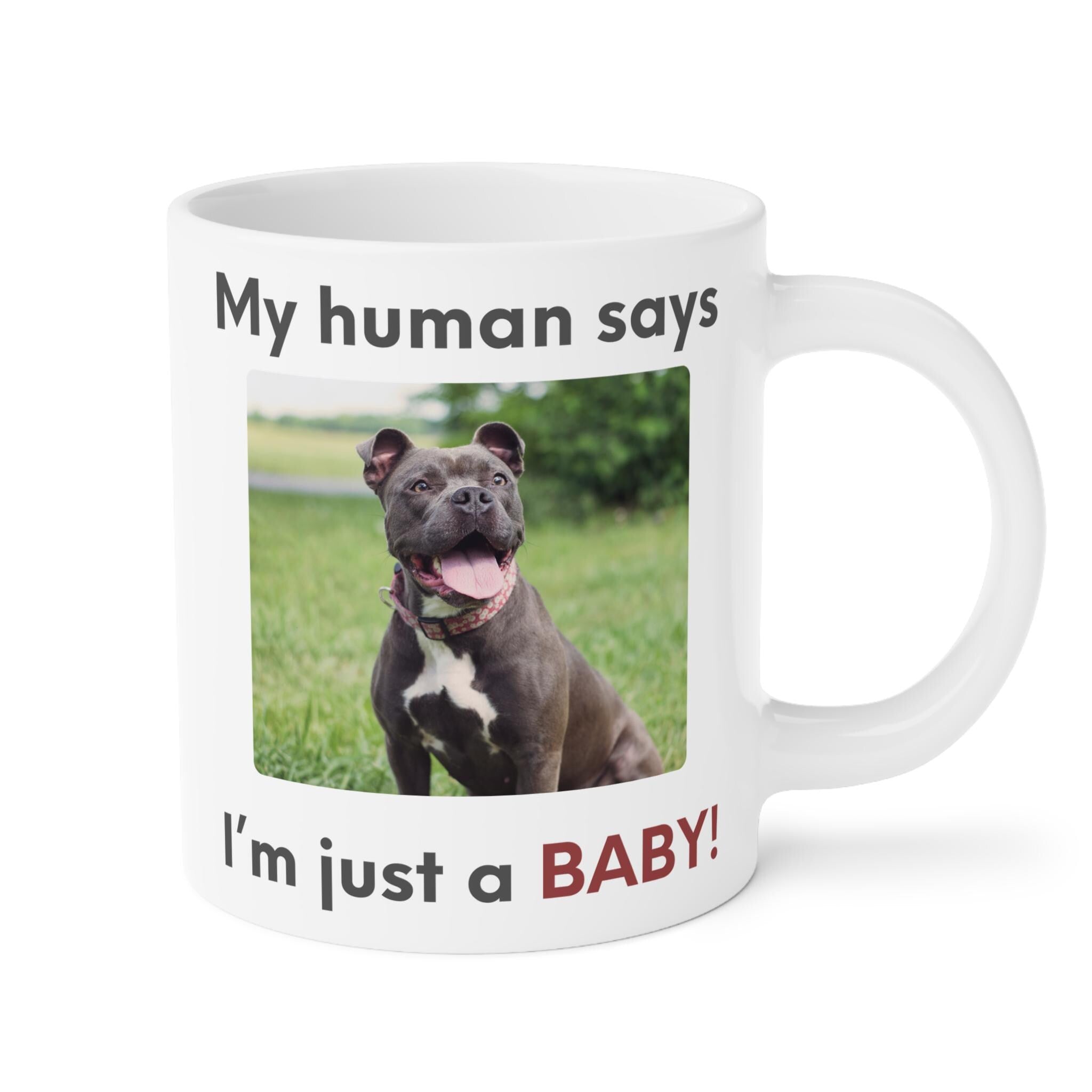 My human says Im just a BABY! Mug | Cute Pit Bull Photo Coffee Cup | Funny Dog Dad Coffee Mug | Pet Parent Gift | Ceramic Mug 11oz 15oz 20oz