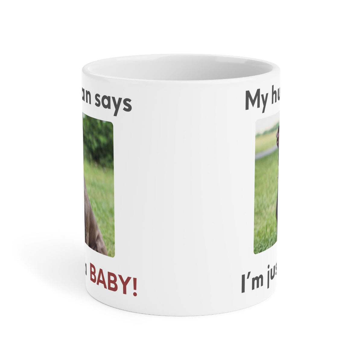 My human says Im just a BABY! Mug | Cute Pit Bull Photo Coffee Cup | Funny Dog Dad Coffee Mug | Pet Parent Gift | Ceramic Mug 11oz 15oz 20oz