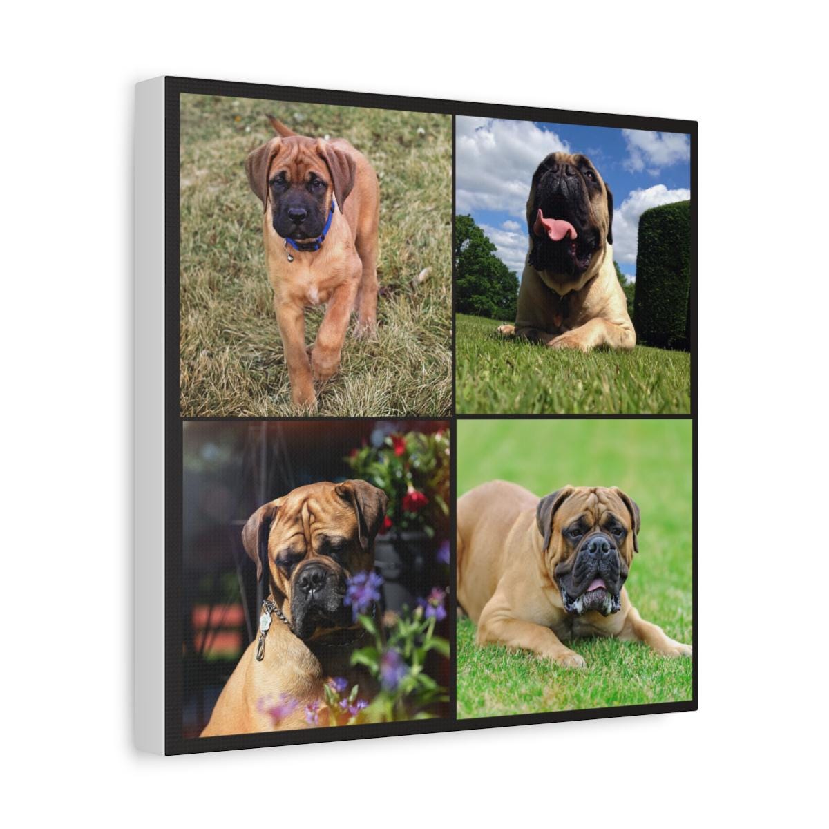 Personalized Pet Photo Canvas | Custom Dog Collage Canvas Print | Square Pet Wall Art | Dog Memorial or Gift for Pet Lovers | Matte Canvas