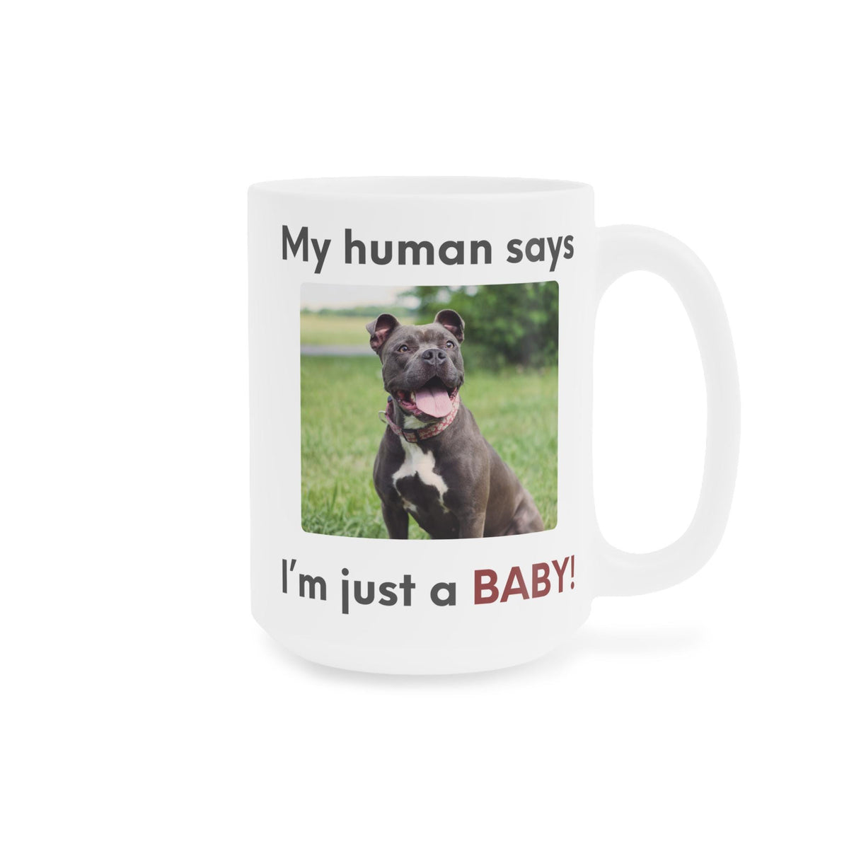 My human says Im just a BABY! Mug | Cute Pit Bull Photo Coffee Cup | Funny Dog Dad Coffee Mug | Pet Parent Gift | Ceramic Mug 11oz 15oz 20oz