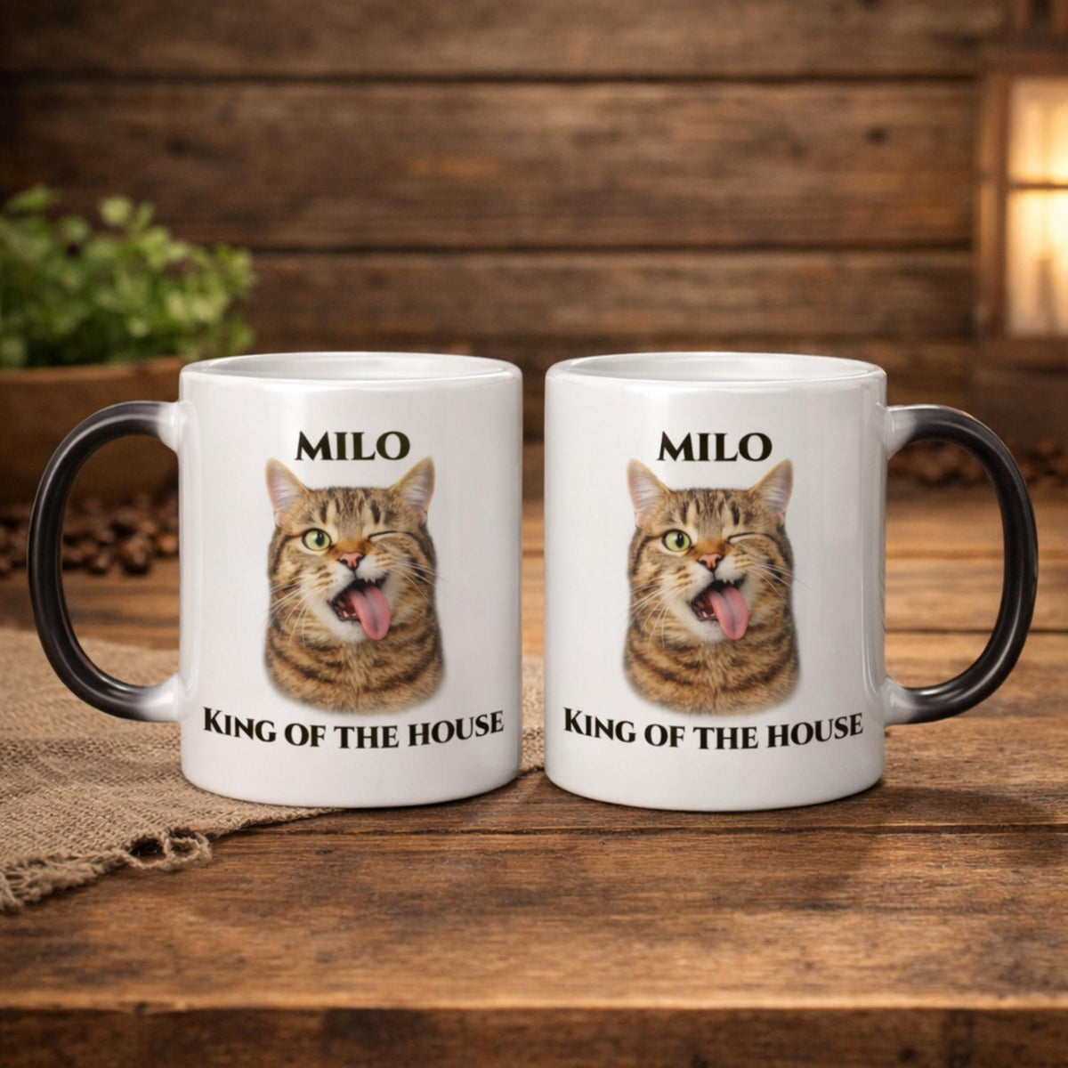 Funny Pet Face Mug, Custom Pet Photo Mug, Personalized Dog or Cat Mug, Upload Your Pet Picture Mug, Pet Lover Gift, 11oz Magic Mug (Front/Ba