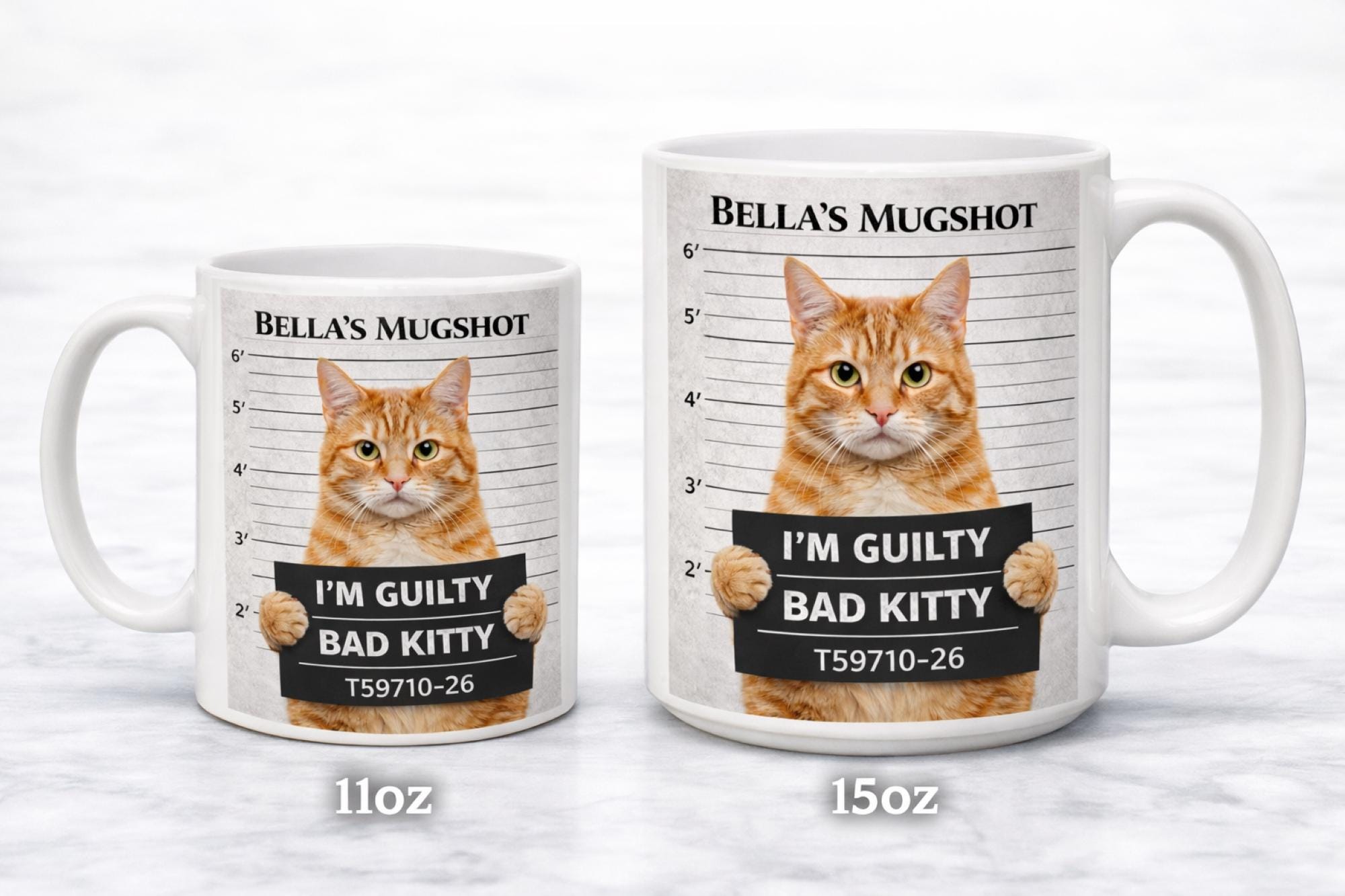 Custom Pet Mugshot Mug, Funny Pet Photo Mug, Personalized Dog or Cat Mug, Pet Crime Mug, Upload Pet Picture Mug, Funny Pet Gift, Ceramic Mug